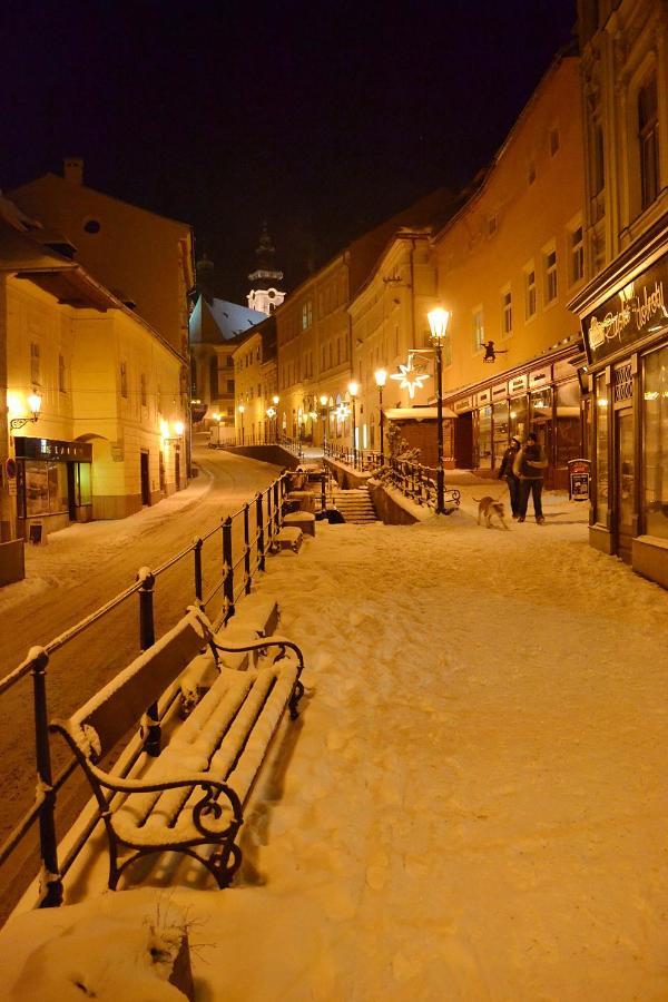 Penzion Nostalgia Banska Stiavnica Exterior photo
